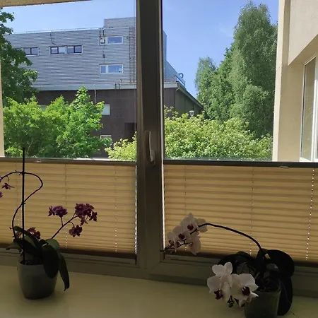 3 Kambariu Apartamentai Pajurio Pauksciai